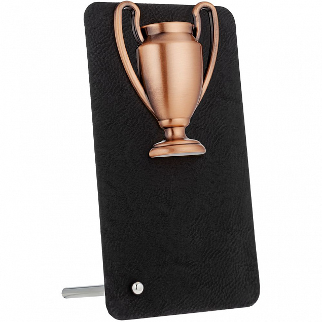 Награда Triumph Bronze с логотипом в Нефтекамске заказать по выгодной цене в кибермаркете AvroraStore