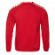 Толстовка унисекс 53 Красный с логотипом в Нефтекамске заказать по выгодной цене в кибермаркете AvroraStore