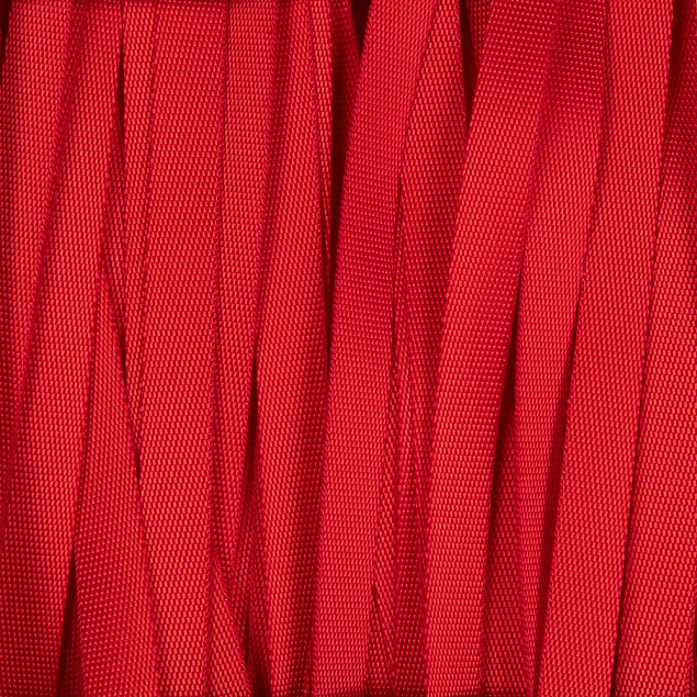 Стропа текстильная Fune 10 S, красная, 50 см с логотипом в Нефтекамске заказать по выгодной цене в кибермаркете AvroraStore