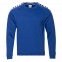 Толстовка Толстовка 53 Синий с логотипом в Нефтекамске заказать по выгодной цене в кибермаркете AvroraStore