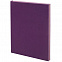 Ежедневник Flat, недатированный, фиолетовый с логотипом в Нефтекамске заказать по выгодной цене в кибермаркете AvroraStore