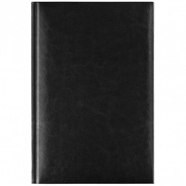 Ежедневник Birmingham, А5, датированный (2024 г.), черный с логотипом в Нефтекамске заказать по выгодной цене в кибермаркете AvroraStore