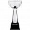 Кубок Cupture, малый с логотипом в Нефтекамске заказать по выгодной цене в кибермаркете AvroraStore