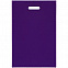 Чехол для пропуска Shall, фиолетовый с логотипом в Нефтекамске заказать по выгодной цене в кибермаркете AvroraStore