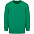 Свитшот детский Columbia Kids, ярко-зеленый с логотипом в Нефтекамске заказать по выгодной цене в кибермаркете AvroraStore
