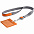 Чехол для карточки с лентой и ретрактором Devon, оранжевый с логотипом в Нефтекамске заказать по выгодной цене в кибермаркете AvroraStore