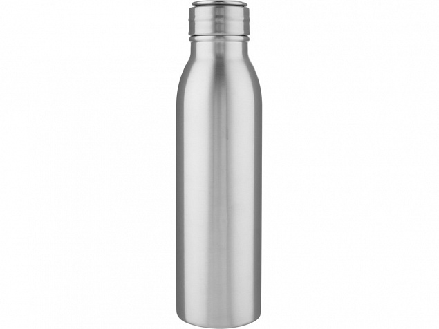 Harper, спортивная бутылка из нержавеющей стали объемом 700 мл с металлической петлей, серебристый с логотипом в Нефтекамске заказать по выгодной цене в кибермаркете AvroraStore