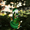 Ёлочная Игрушка Змея (зеленый) с логотипом в Нефтекамске заказать по выгодной цене в кибермаркете AvroraStore