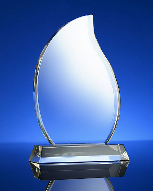 Награда Phoenix с логотипом в Нефтекамске заказать по выгодной цене в кибермаркете AvroraStore