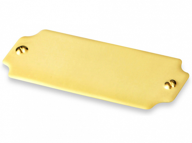 Шильд золотистый с логотипом в Нефтекамске заказать по выгодной цене в кибермаркете AvroraStore
