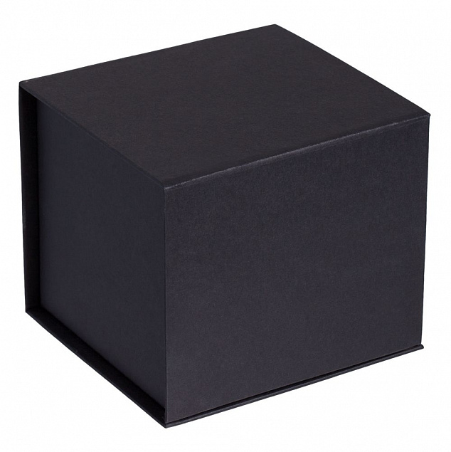Коробка Alian, черная с логотипом в Нефтекамске заказать по выгодной цене в кибермаркете AvroraStore