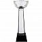 Кубок Cupture, большой с логотипом в Нефтекамске заказать по выгодной цене в кибермаркете AvroraStore