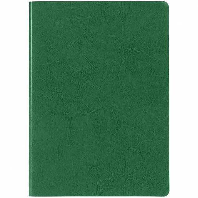 Ежедневник Nebraska Flex, недатированный, зеленый с логотипом в Нефтекамске заказать по выгодной цене в кибермаркете AvroraStore