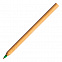 Шариковая ручка Chavez, зеленая с логотипом в Нефтекамске заказать по выгодной цене в кибермаркете AvroraStore