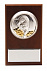 Плакетка малая «Тигр на монетах» с возможностью персонализации с логотипом в Нефтекамске заказать по выгодной цене в кибермаркете AvroraStore