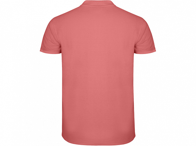 Рубашка поло «Star» мужская с логотипом в Нефтекамске заказать по выгодной цене в кибермаркете AvroraStore