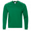 Толстовка StanSweatshirt Зелёный с логотипом в Нефтекамске заказать по выгодной цене в кибермаркете AvroraStore
