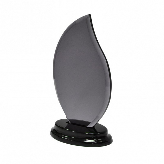 Статуэтка наградная "Flame" с логотипом в Нефтекамске заказать по выгодной цене в кибермаркете AvroraStore