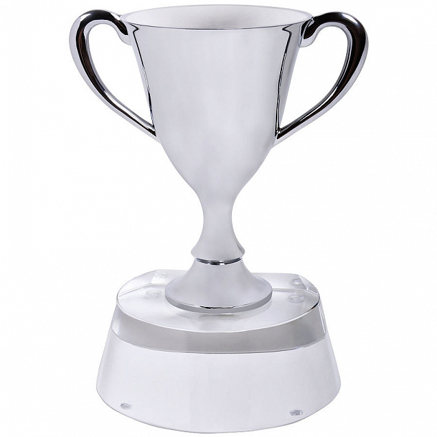 Стела  "Кубок победителя" в подарочной упаковке с логотипом в Нефтекамске заказать по выгодной цене в кибермаркете AvroraStore
