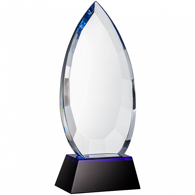 Награда Droplet с логотипом в Нефтекамске заказать по выгодной цене в кибермаркете AvroraStore
