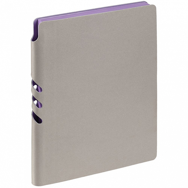 Набор Flexpen, серебристо-фиолетовый с логотипом в Нефтекамске заказать по выгодной цене в кибермаркете AvroraStore