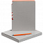 Набор Flexpen, серебристо-оранжевый с логотипом в Нефтекамске заказать по выгодной цене в кибермаркете AvroraStore