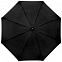 Зонт-трость Silverine, черный с логотипом в Нефтекамске заказать по выгодной цене в кибермаркете AvroraStore