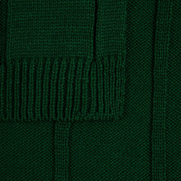 Плед Bambolay, темно-зеленый с логотипом в Нефтекамске заказать по выгодной цене в кибермаркете AvroraStore