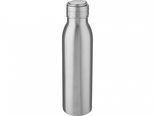 Harper, спортивная бутылка из нержавеющей стали объемом 700 мл с металлической петлей, серебристый с логотипом в Нефтекамске заказать по выгодной цене в кибермаркете AvroraStore