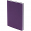 Набор Welcome Pack, фиолетовый с логотипом в Нефтекамске заказать по выгодной цене в кибермаркете AvroraStore