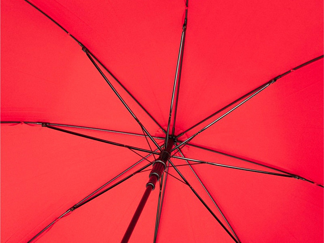 Зонт-трость «Alina» с логотипом в Нефтекамске заказать по выгодной цене в кибермаркете AvroraStore