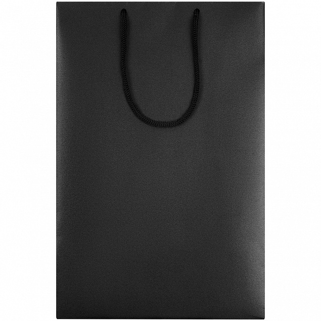 Пакет бумажный «Блеск», средний, черный с логотипом в Нефтекамске заказать по выгодной цене в кибермаркете AvroraStore