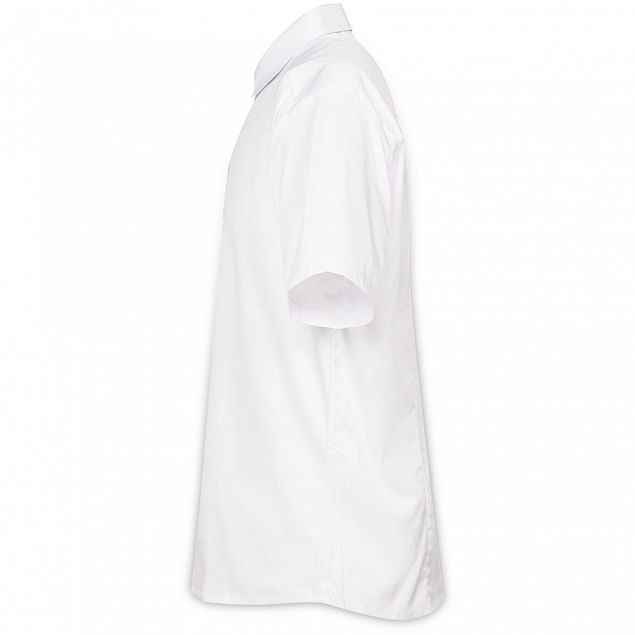 Рубашка мужская с коротким рукавом Collar, белая с логотипом в Нефтекамске заказать по выгодной цене в кибермаркете AvroraStore