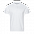 Рубашка поло Рубашка мужская 104 Синий с логотипом в Нефтекамске заказать по выгодной цене в кибермаркете AvroraStore