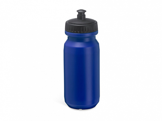 Бутылка спортивная BIKING с логотипом в Нефтекамске заказать по выгодной цене в кибермаркете AvroraStore