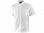 Рубашка Stirling мужская с коротким рукавом с логотипом в Нефтекамске заказать по выгодной цене в кибермаркете AvroraStore