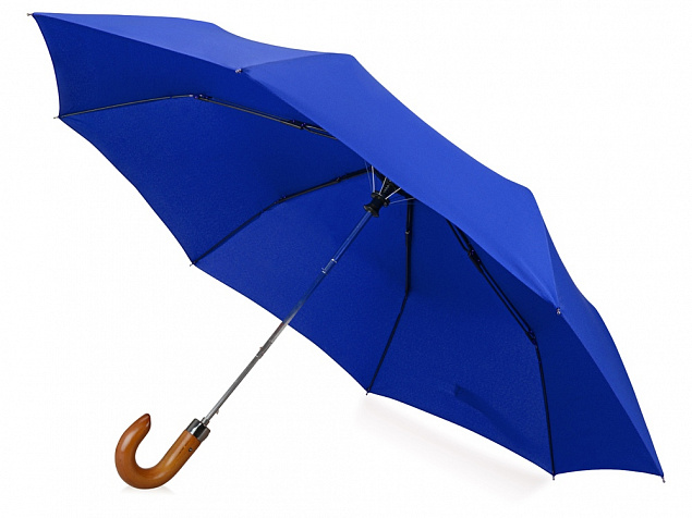 Зонт складной Cary с логотипом в Нефтекамске заказать по выгодной цене в кибермаркете AvroraStore