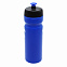 Бутылка для напитков Active Blue line, 750 мл (синяя) с логотипом в Нефтекамске заказать по выгодной цене в кибермаркете AvroraStore