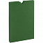 Шубер Flacky, зеленый с логотипом в Нефтекамске заказать по выгодной цене в кибермаркете AvroraStore