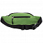 Поясная сумка Kalita, зеленая с логотипом в Нефтекамске заказать по выгодной цене в кибермаркете AvroraStore