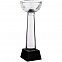 Кубок Cupture, большой с логотипом в Нефтекамске заказать по выгодной цене в кибермаркете AvroraStore