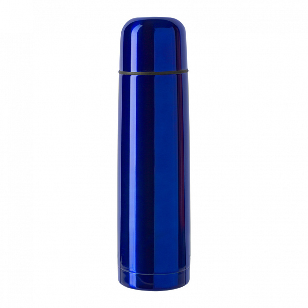 Термос Picnic Bright - Синий HH с логотипом в Нефтекамске заказать по выгодной цене в кибермаркете AvroraStore