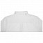 Pollux Мужская рубашка с длинными рукавами с логотипом в Нефтекамске заказать по выгодной цене в кибермаркете AvroraStore