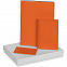 Набор Shall Travel, оранжевый с логотипом в Нефтекамске заказать по выгодной цене в кибермаркете AvroraStore
