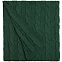 Плед Stille, зеленый с логотипом в Нефтекамске заказать по выгодной цене в кибермаркете AvroraStore