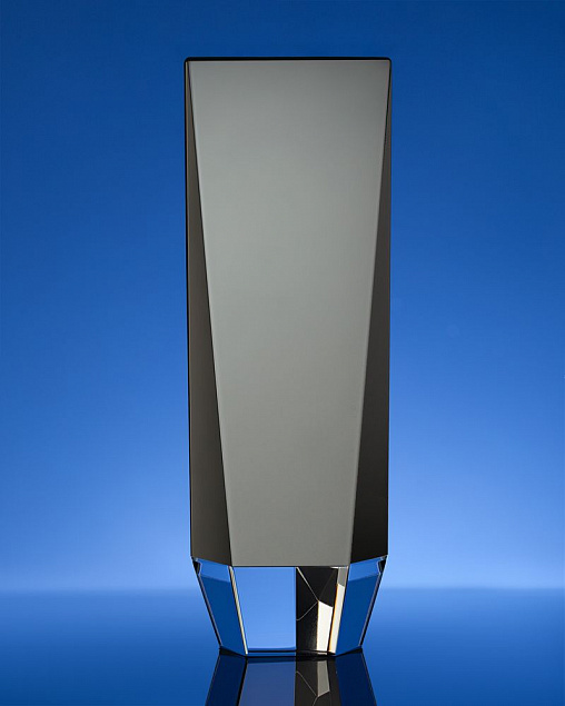 Награда Statum, малая с логотипом в Нефтекамске заказать по выгодной цене в кибермаркете AvroraStore