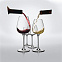 Бокал для красного вина Purismo с логотипом в Нефтекамске заказать по выгодной цене в кибермаркете AvroraStore