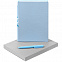 Набор Flexpen Shall, голубой с логотипом в Нефтекамске заказать по выгодной цене в кибермаркете AvroraStore