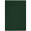 Плед Sheerness, темно-зеленый с логотипом в Нефтекамске заказать по выгодной цене в кибермаркете AvroraStore