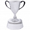 Стела  "Кубок победителя" в подарочной упаковке с логотипом в Нефтекамске заказать по выгодной цене в кибермаркете AvroraStore